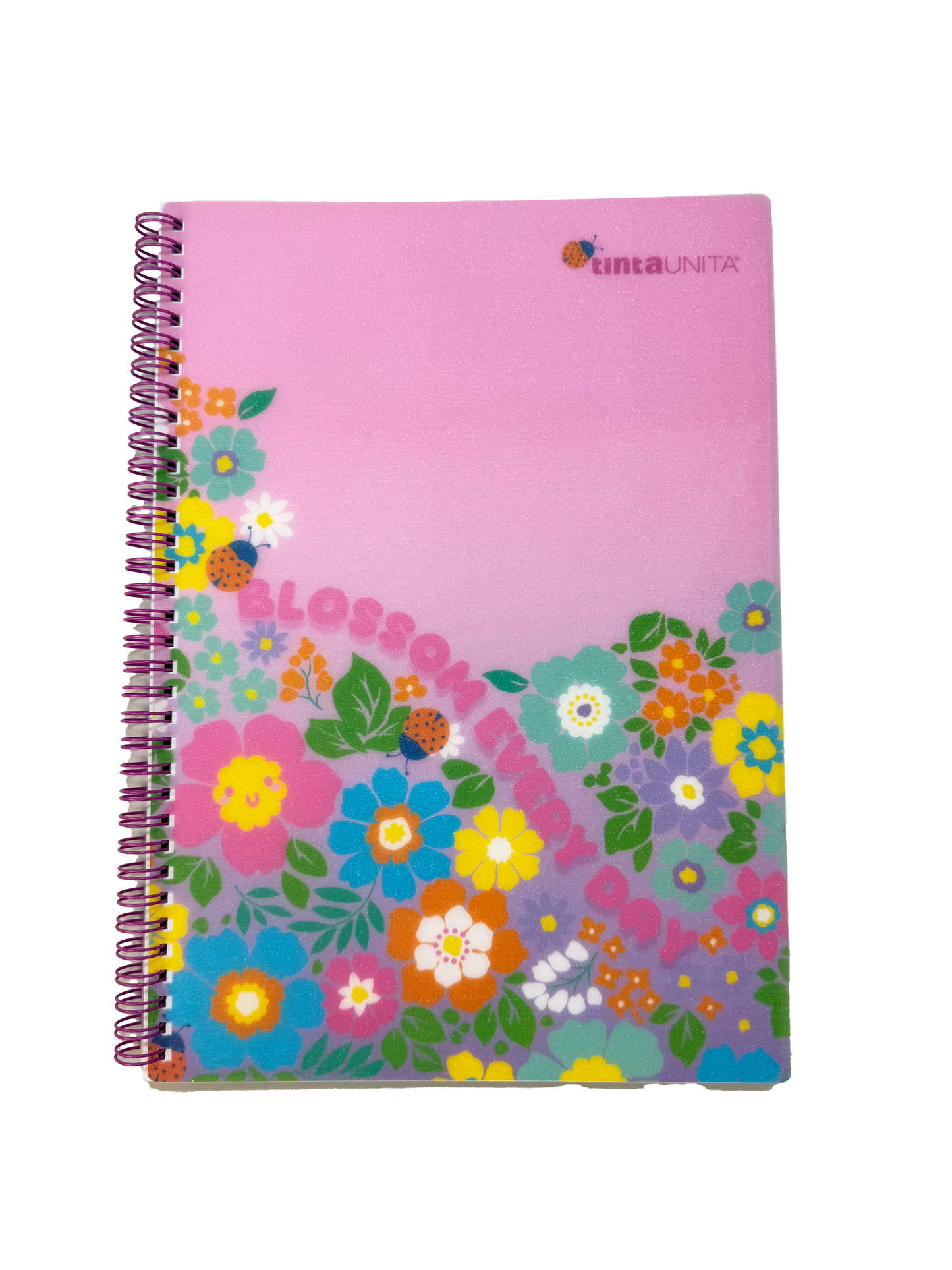 Quaderno Spirale A4 T.U.